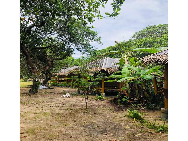 Chalee Tropicana Bungalow 코 파얌 외부 사진